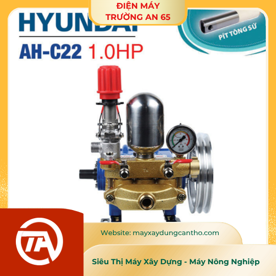 ĐẦU BƠM CAO ÁP PISTON SỨ HYUNDAI AH-C22 (1HP)