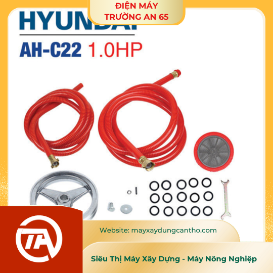 ĐẦU BƠM CAO ÁP PISTON SỨ HYUNDAI AH-C22 (1HP)